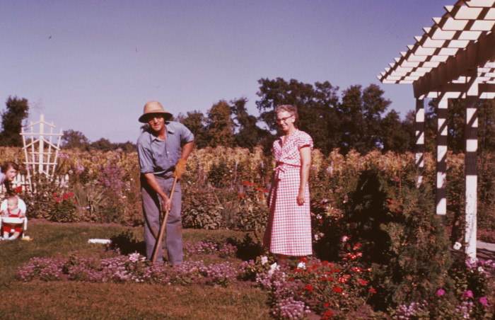 Maurice and Cora in their back yard, 1950